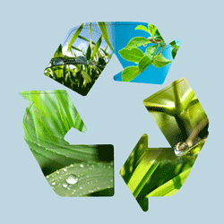 recycle symbol